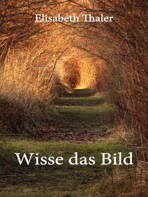 cover image of Wisse das Bild